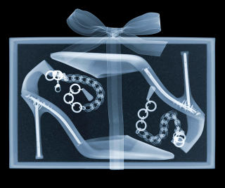 Illustration for article titled X-Ray X-Mas Tree Is X-tra Neat